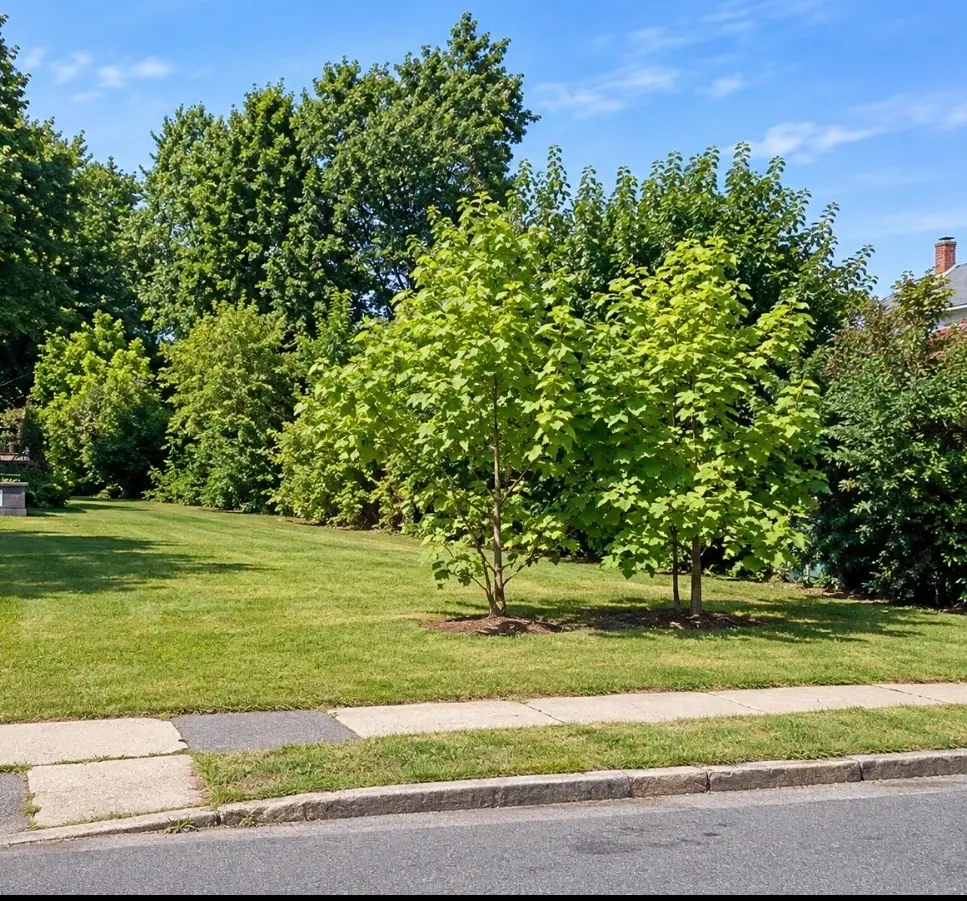 0 Olive Ave, Holyoke, MA 01040 - #1