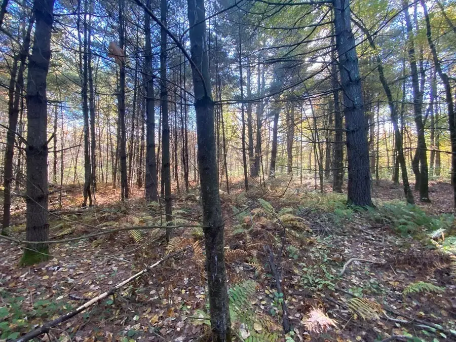 0 Michael Sears Rd Lot 2b, Belchertown, MA 01007 - #3