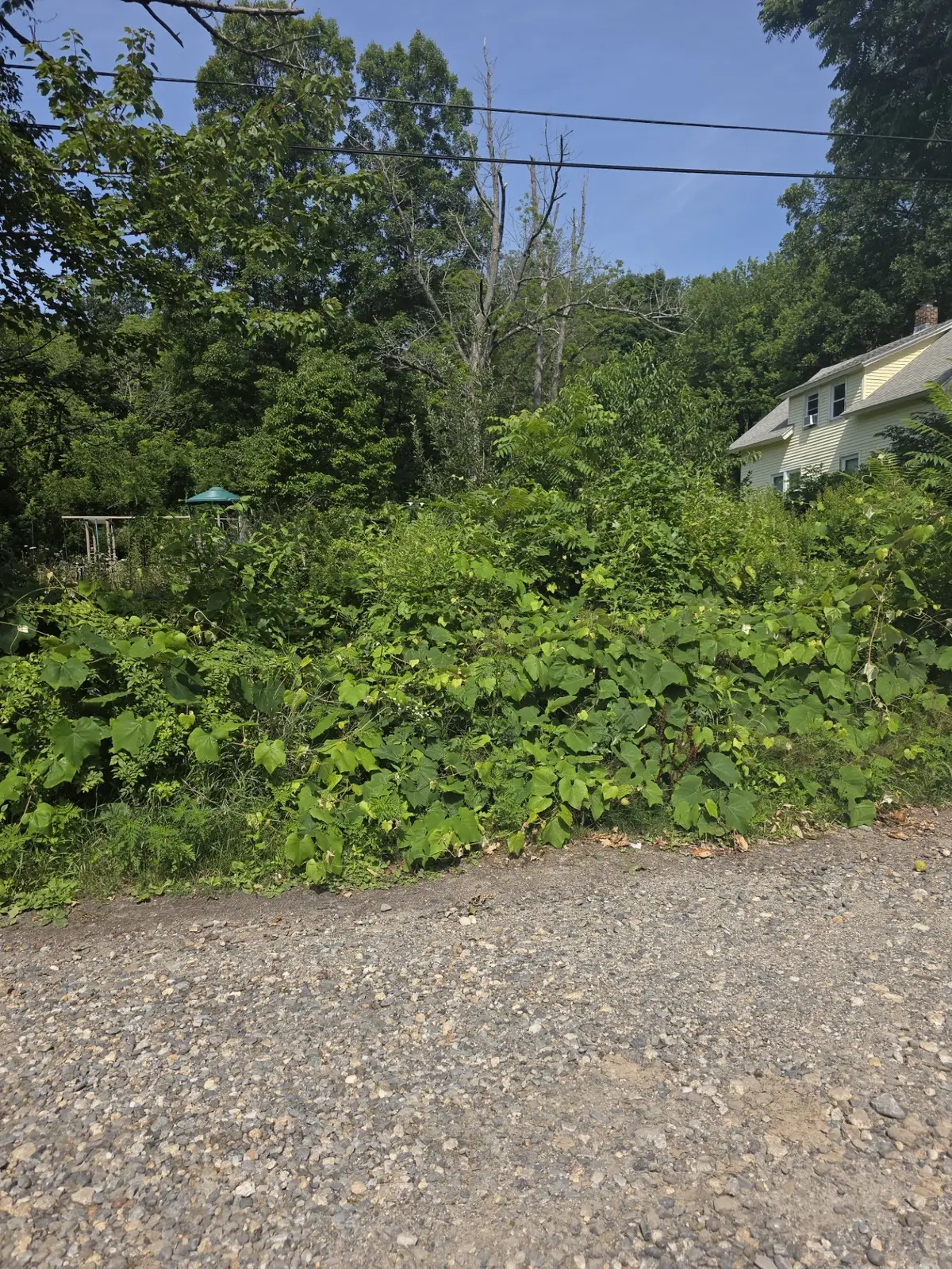 44 Maravista Rd, Worcester, MA 01606 - #1