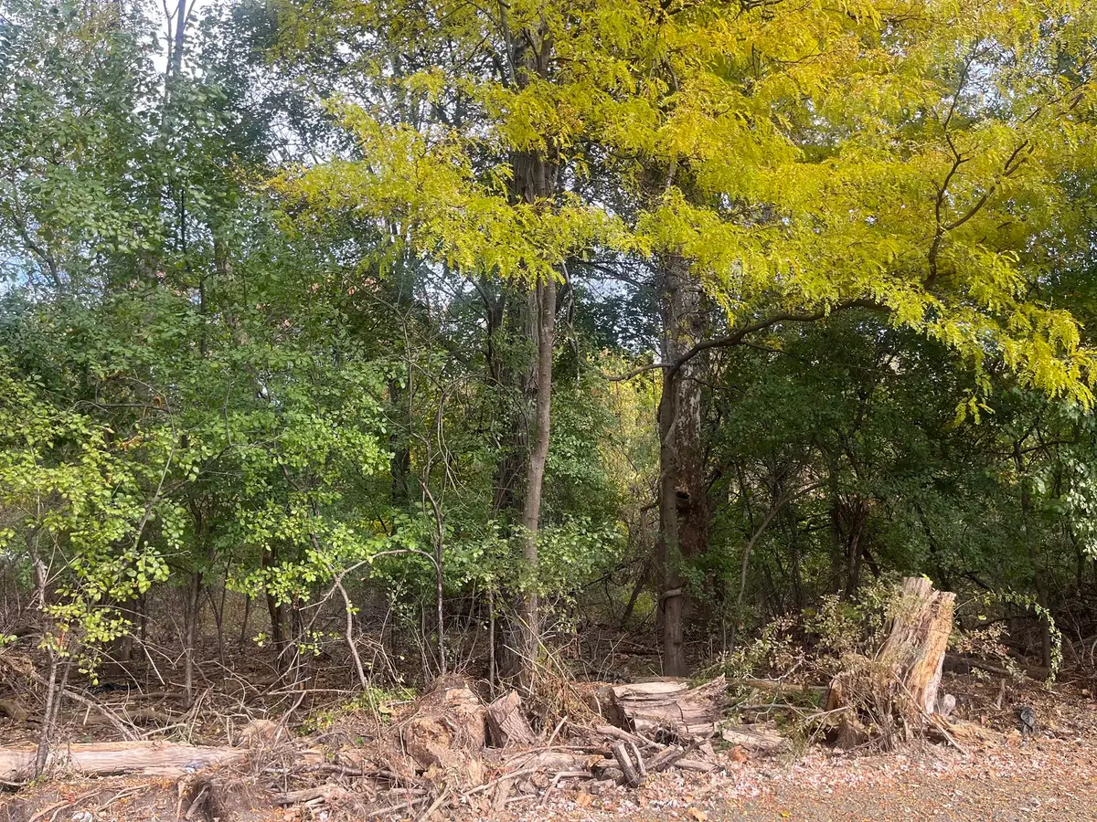 Lot 1 Shaw Street, Norwood, MA 02062 - #1