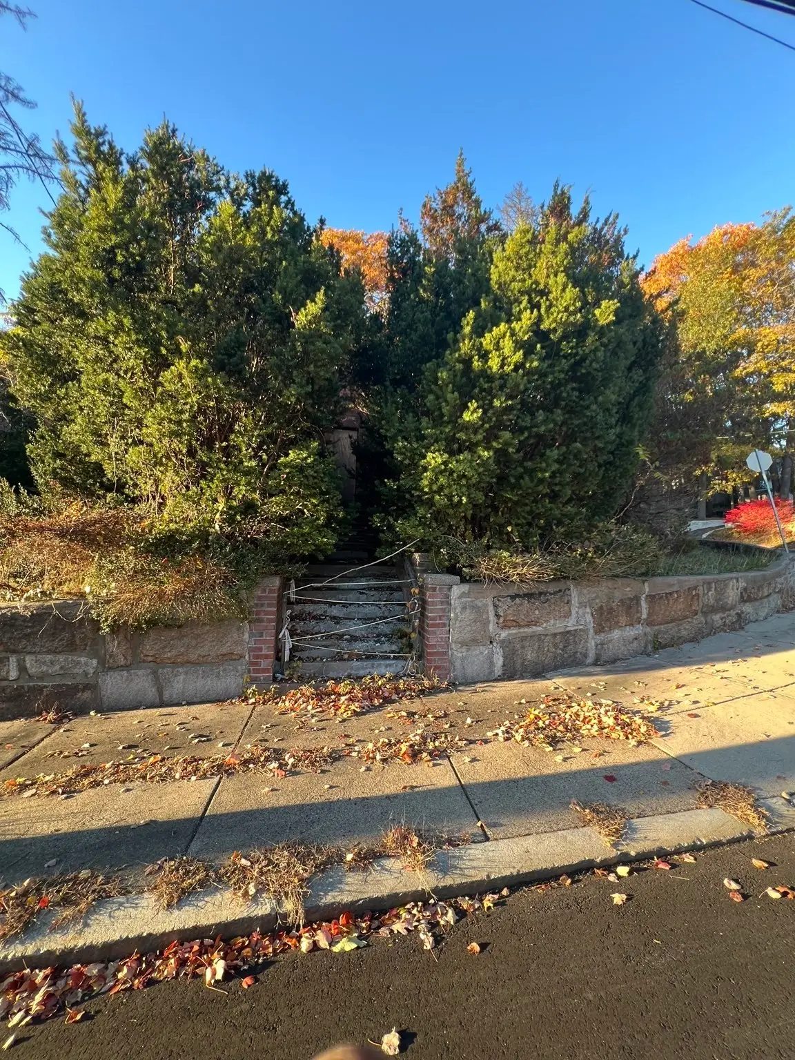59 Farrar Ave, Boston, MA 02136 - #1