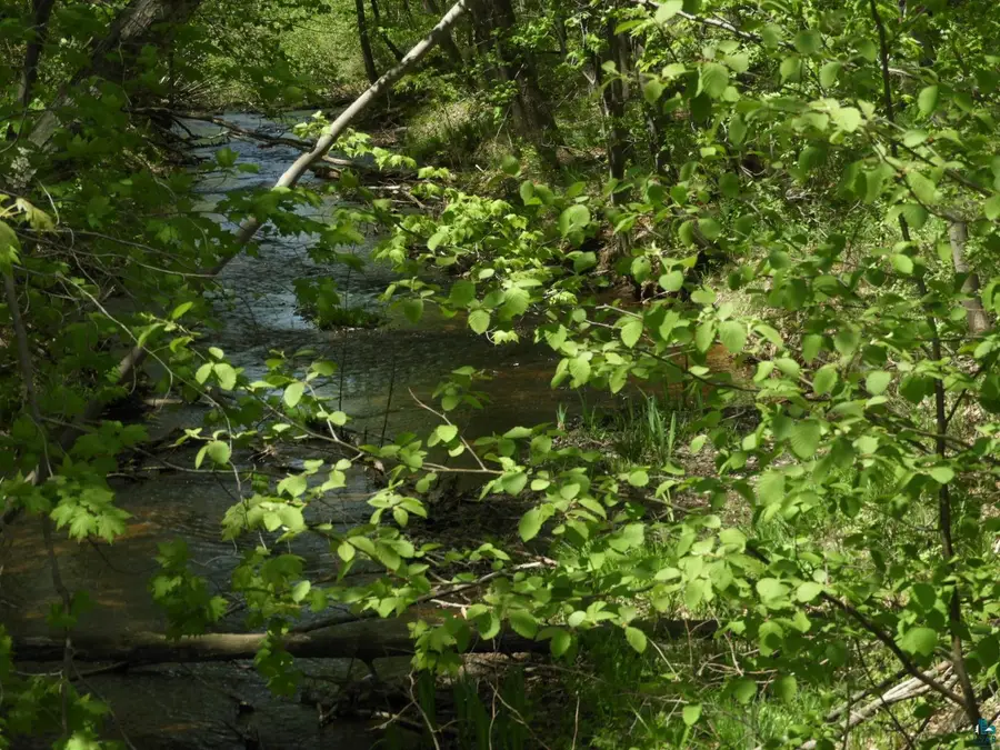 625X Iron Lake Rd, Iron River, WI 54847 - Image #3