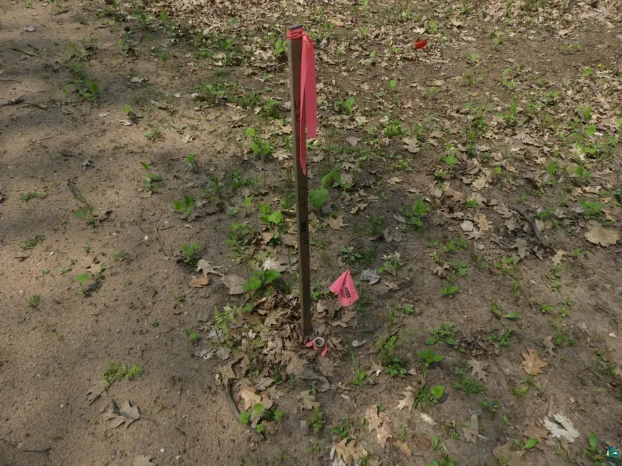 6726X E Deep Lake Rd, Iron River, WI 54847 - #2