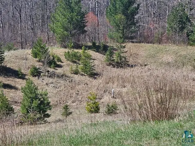 xx Trinity Rd, Duluth, MN 55811 - Image #1