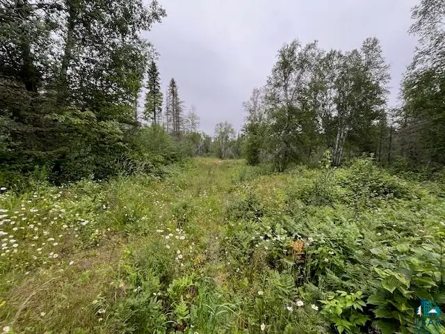 TBD Crown Creek Spur Rd, Finland, MN 55603-4700 - Image #3