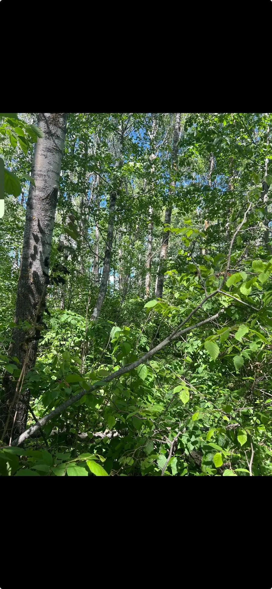 County Rd 103, Blackhoof, MN 55718 - Image #3