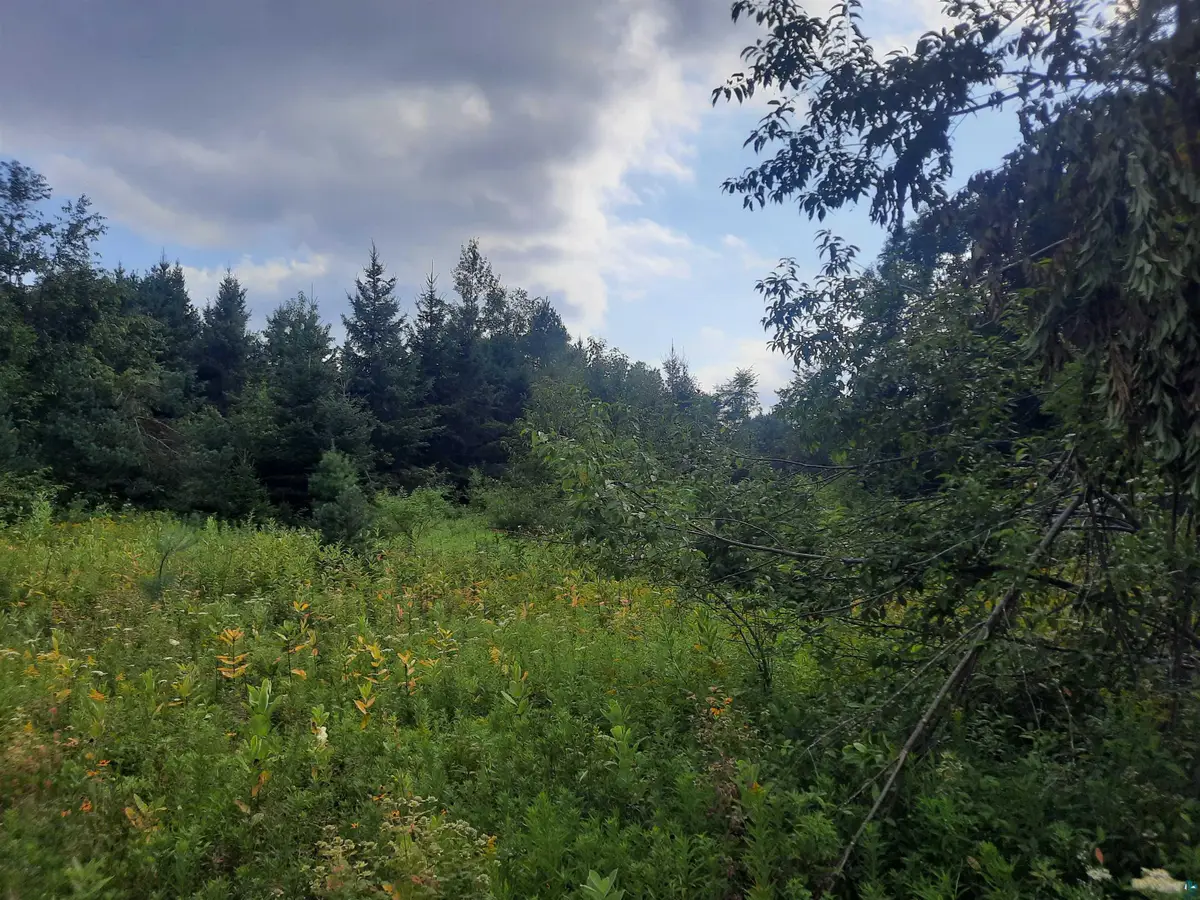 Birchwood Ln, Ladysmith, WI 54848 - Image #1