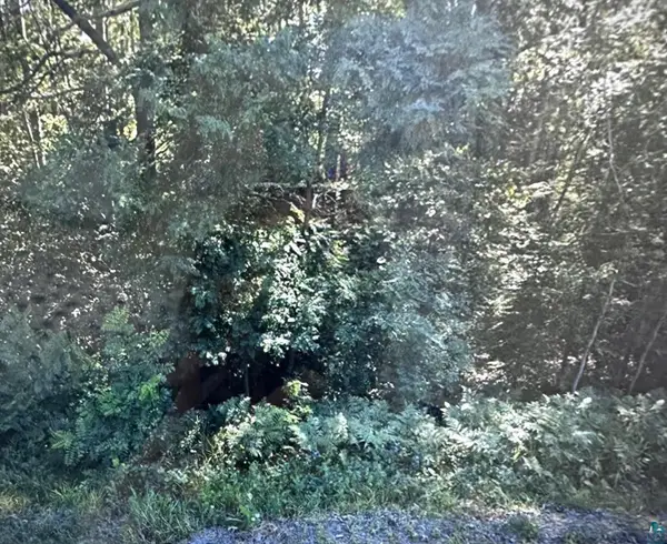 74XXX S Hallberg Rd, Lake Nebagamon, WI 54849-8600