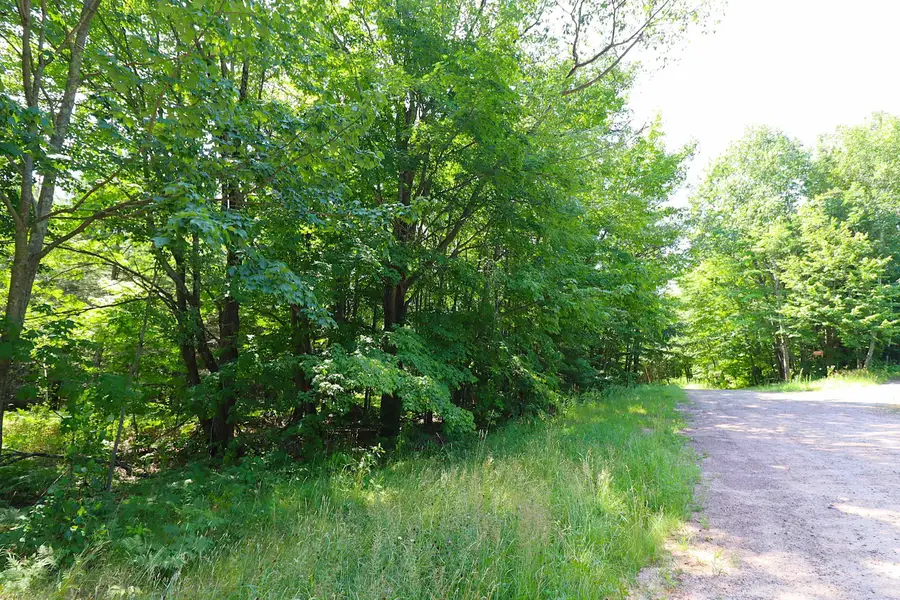 Lot 2 Pinecrest Ln, Bayfield, WI 54814 - Image #2
