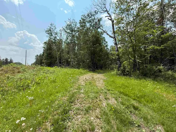 TBD Samuelson Rd, Angora, MN 55703