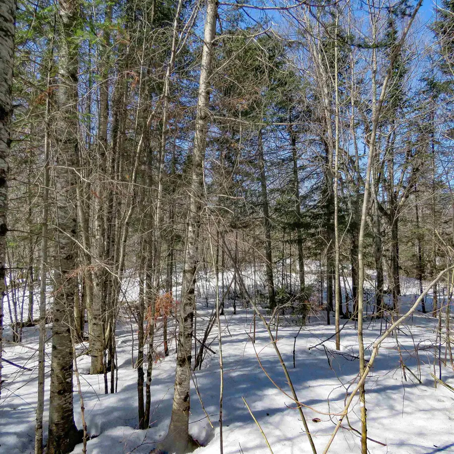 xxx County Hwy 8, Finland, MN 55603 - Image #2