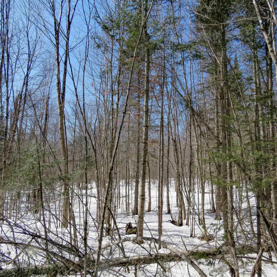 xxx County Hwy 8, Finland, MN 55603 - Image #3