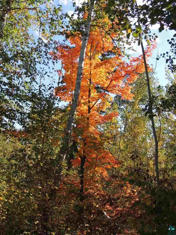 X30 Isak Ridge Rd, Lutsen, MN 55612