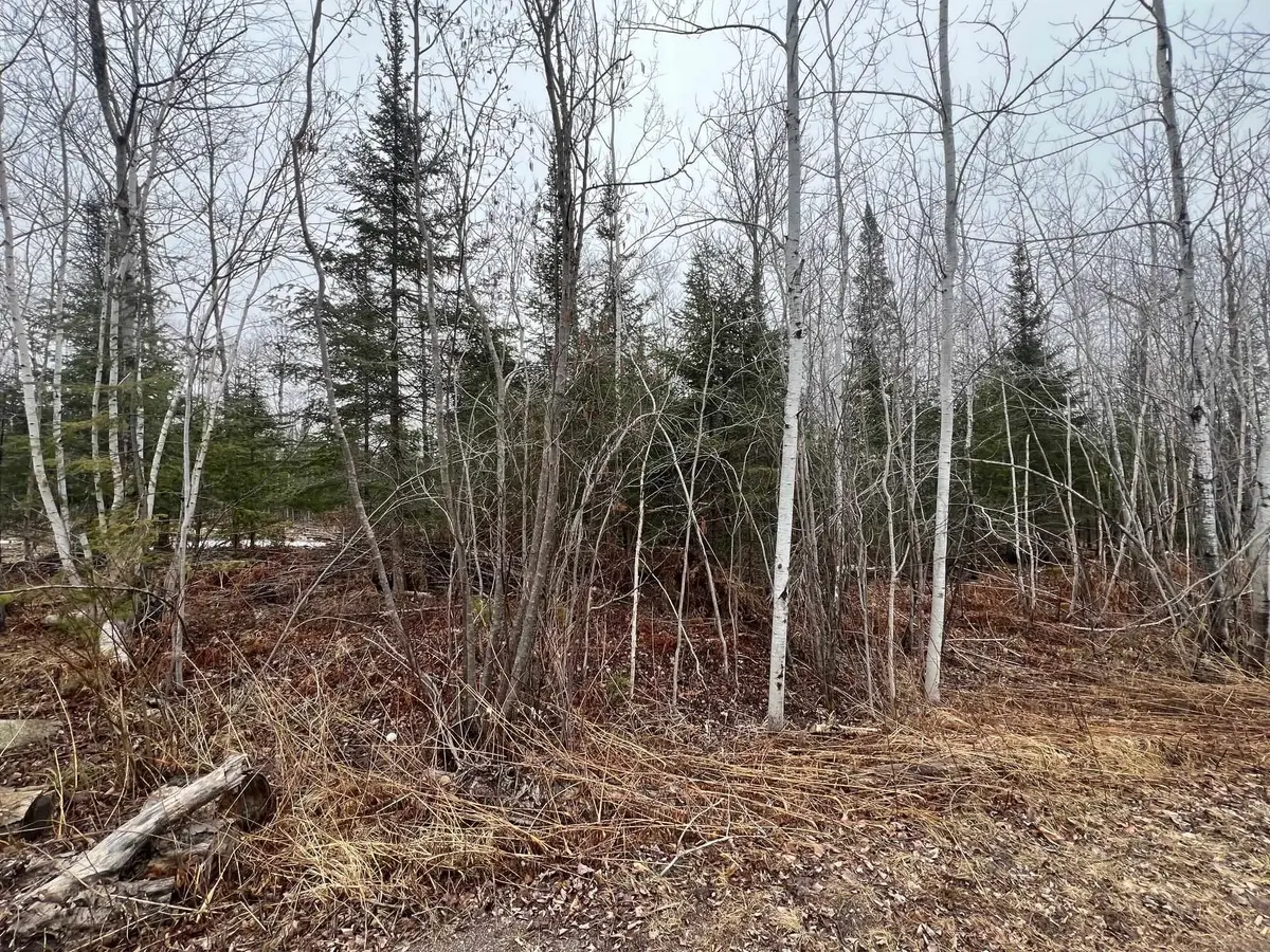 xx Maple Hill Dr, Cloquet, MN 55720 - Image #1