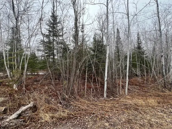 xx Maple Hill Dr, Cloquet, MN 55720