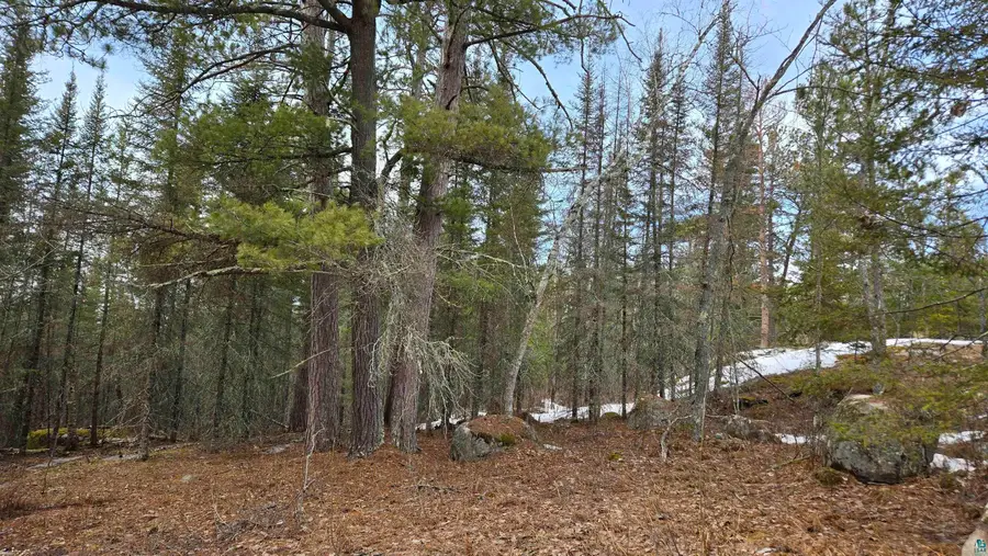 7316 Crane Lake Rd, Crane Lake, MN 55725 - Image #3