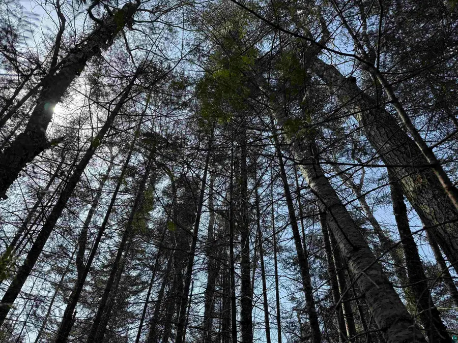 1XX W 13th Ave, Grand Marais, MN 55604 - Image #2