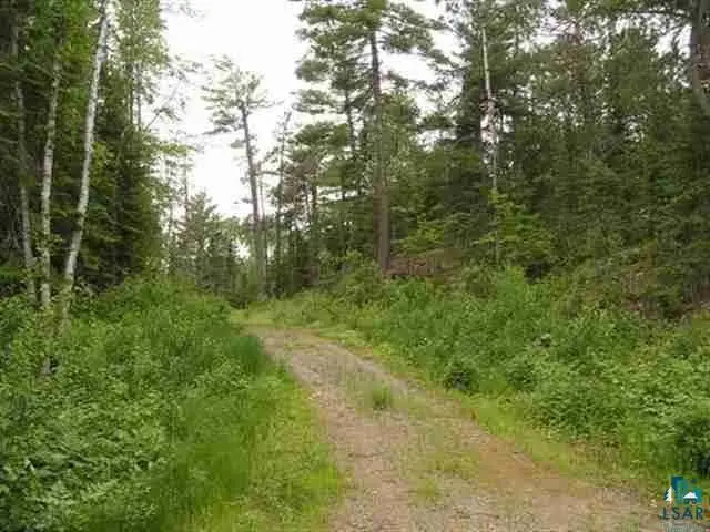 1687 Golden Ridge Tr, Ely, MN 55731 - Image #2