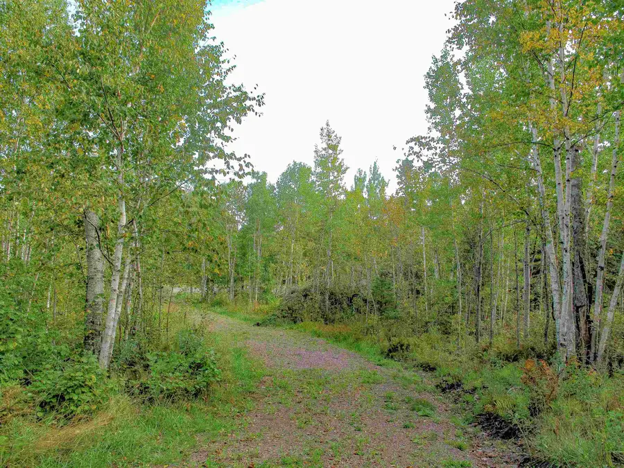 9223 Hwy 61 W, Schroeder, MN 55613 - Image #2