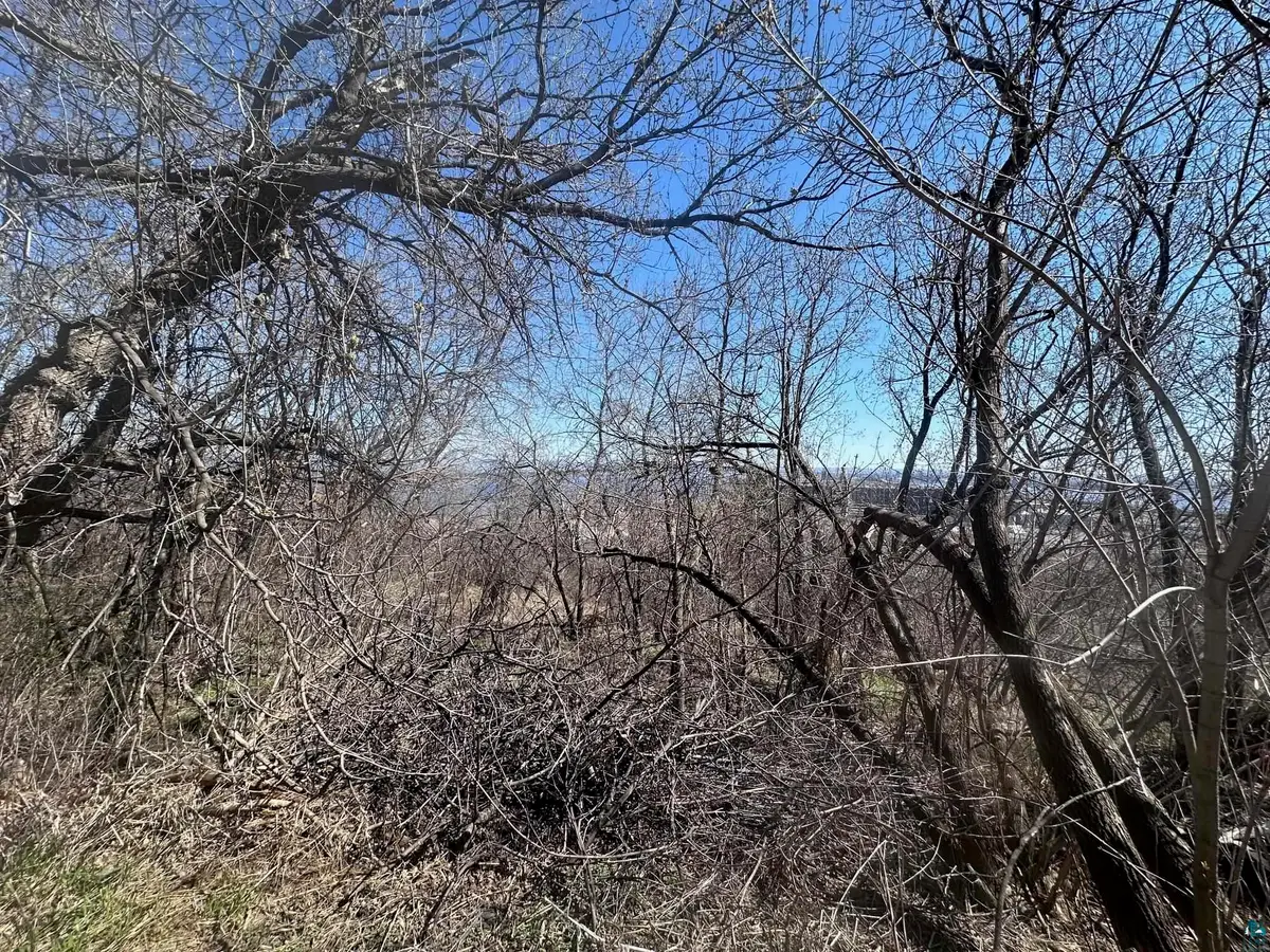 1010 W 2nd St, Duluth, MN 55805 - #1