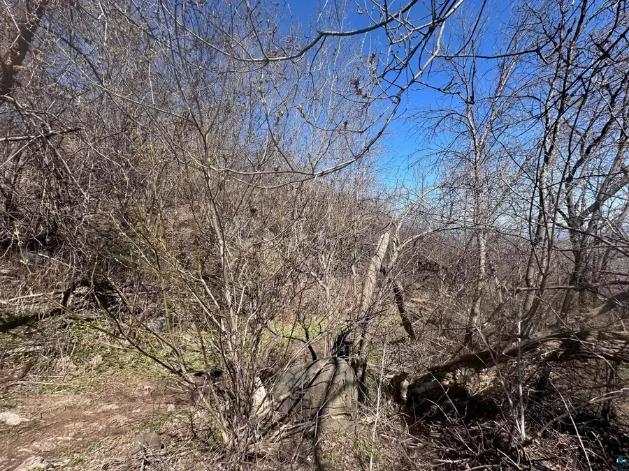 1010 W 2nd St, Duluth, MN 55805 - #3