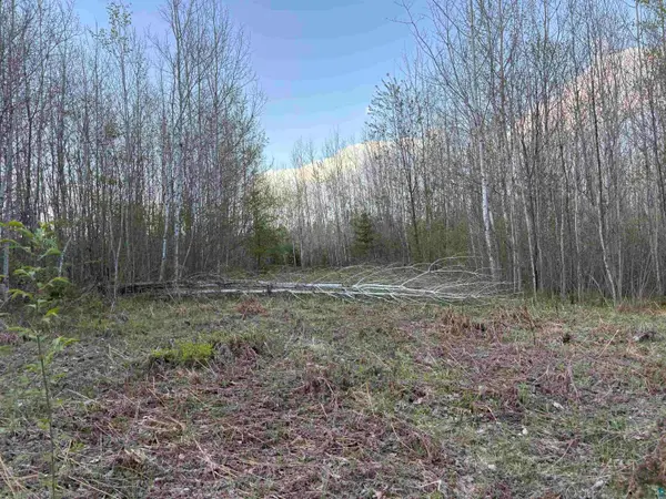 0000 Mertig Rd, Glidden, WI 54527-9254