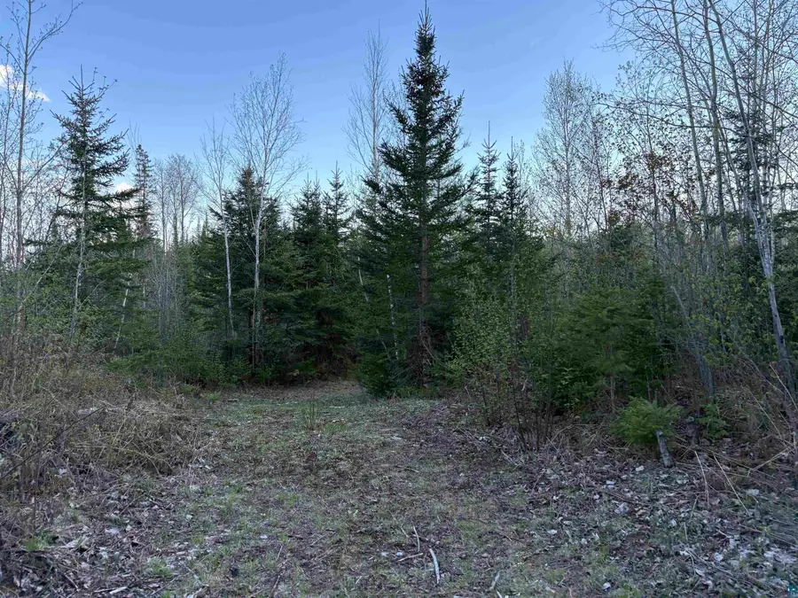 0000 Mertig Rd, Glidden, WI 54527-9254 - Image #2