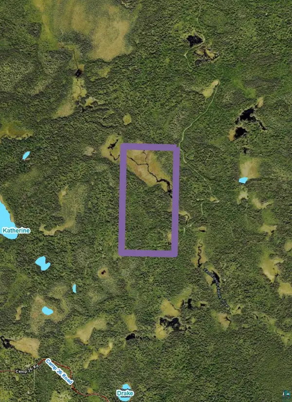 XXX3 Heffelfinger Tr, Finland, MN 55614