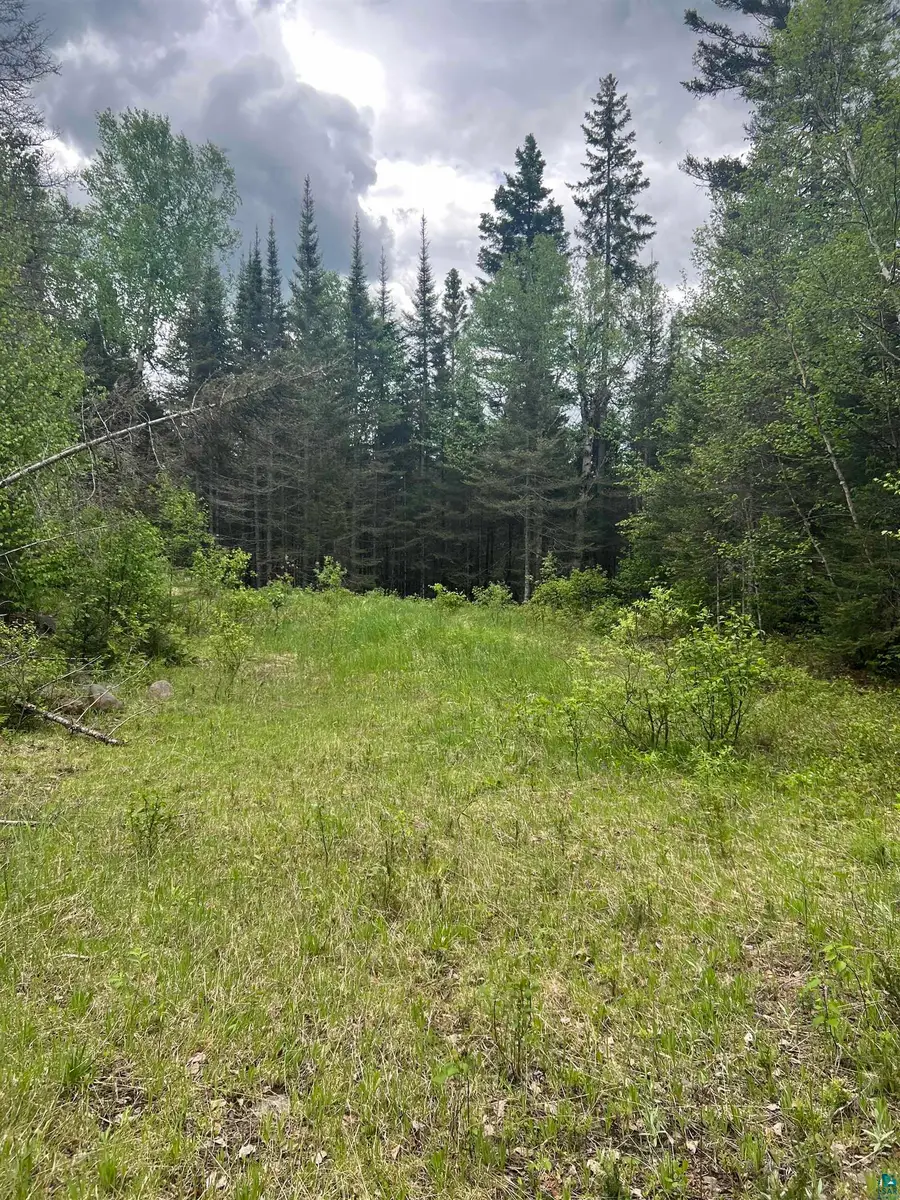 XXXX Camp 26 Rd, Silver Creek, MN 55614 - Image #3