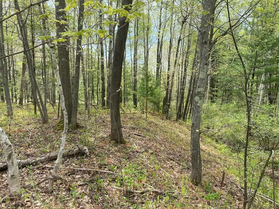 000 W 12th St, Washburn, WI 54891 - Image #3