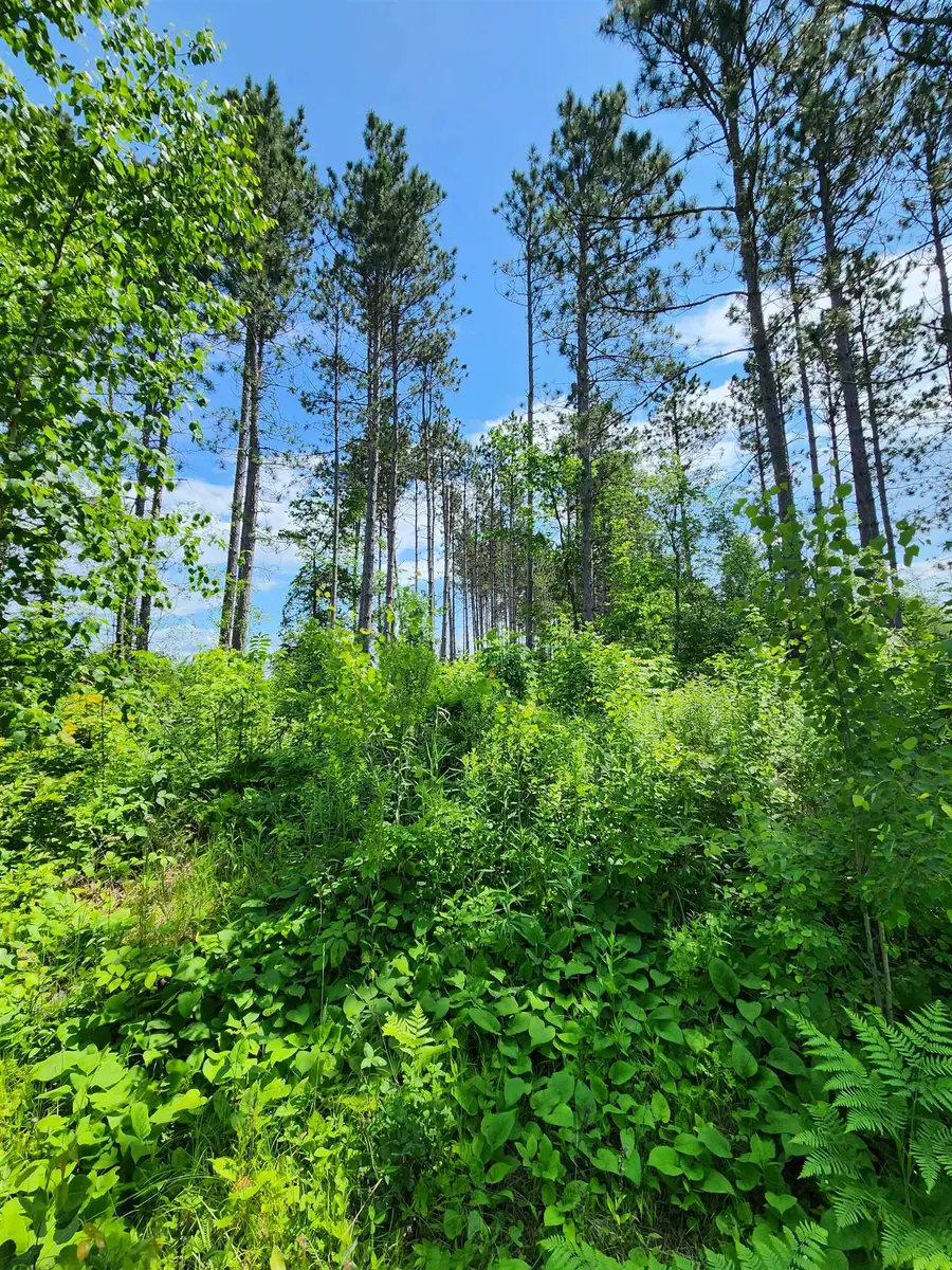 00 N Olson Rd, Hayward, WI 54843 - #2