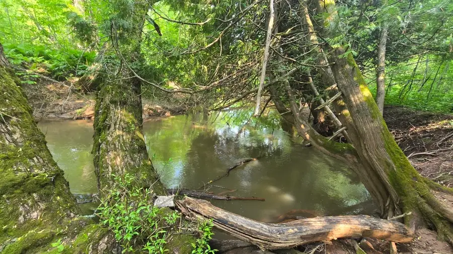 10550 Flagg River Rd, Port Wing, WI 54865 - Image #2