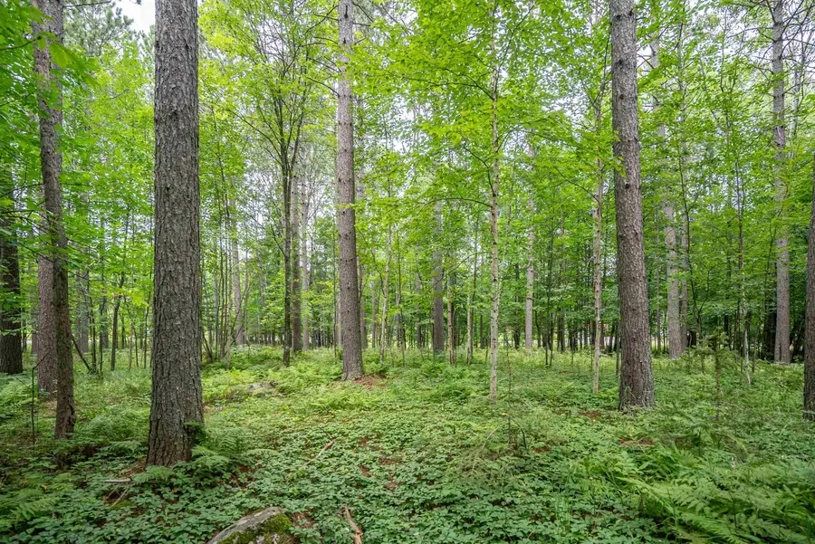 51xx Lindahl Rd, Duluth, MN 55811 - Image #2