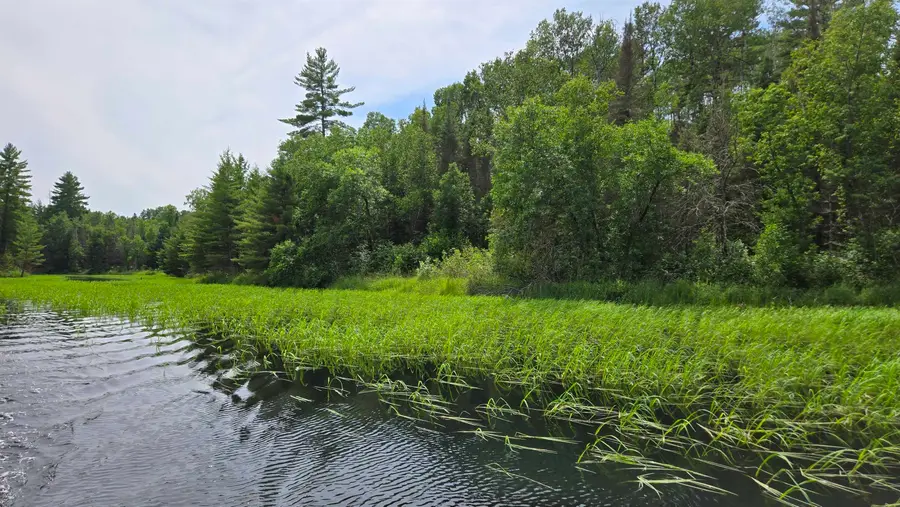 TBD 40N Rollick Creek, Crane Lake, MN 55725 - Image #2