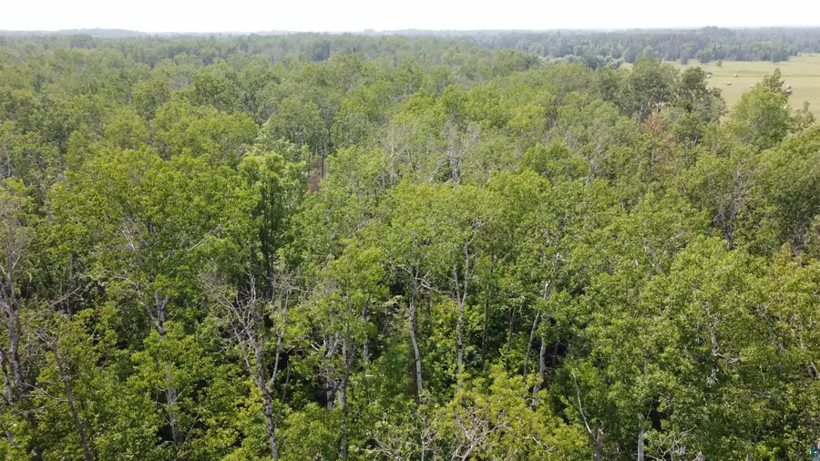 39XX S County Rd O, Maple, WI 54820 - Image #2