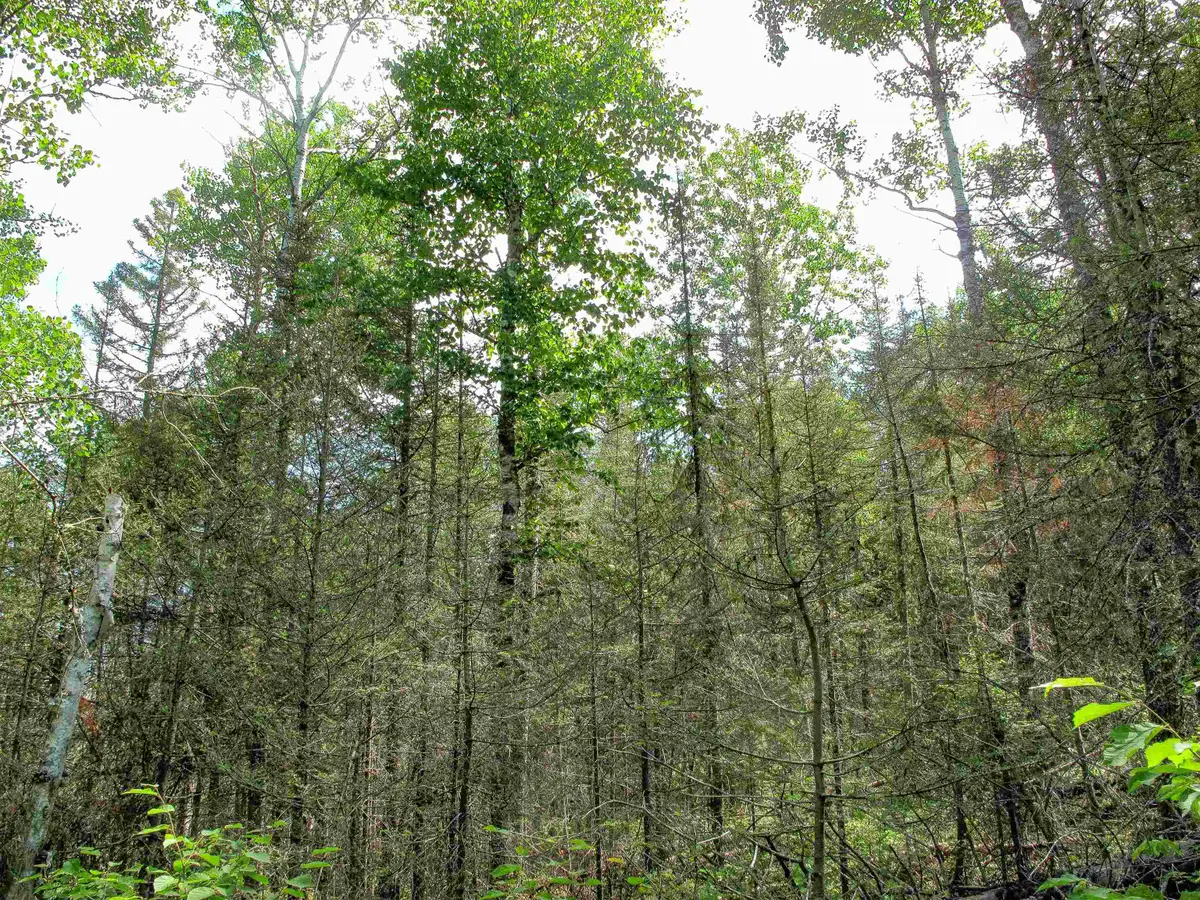 xxx The Grade, Lutsen, MN 55612 - Image #1