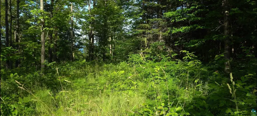 83xxx Ashwabay Heights Rd, Bayfield, WI 54814 - Image #2