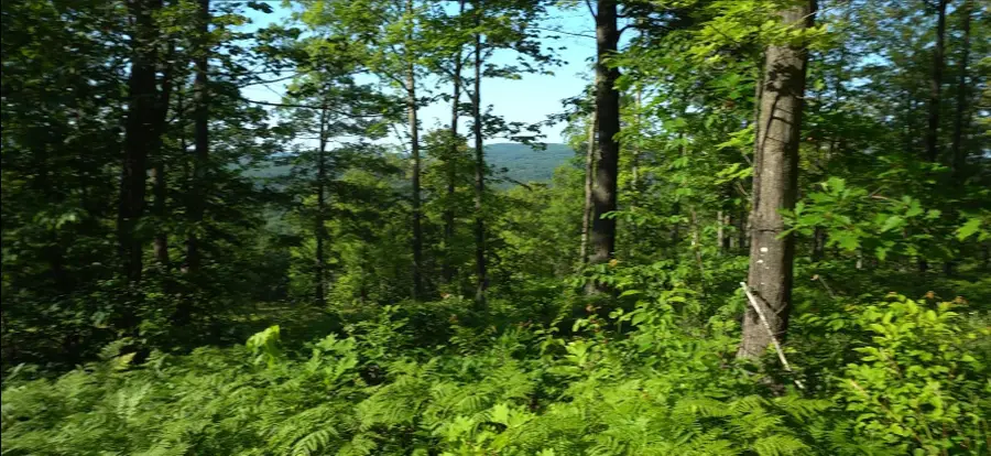 83xxx Ashwabay Heights Rd, Bayfield, WI 54814 - Image #3