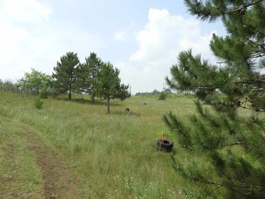 XXXX Moon Dr, Iron River, WI 54847 - Image #2