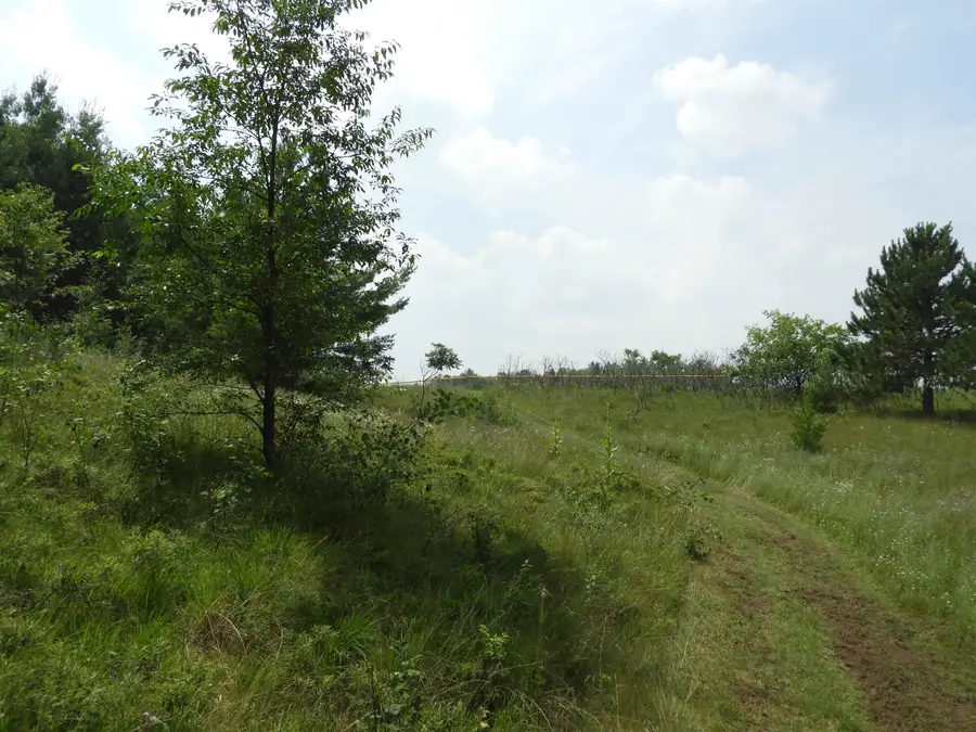 XXXX Moon Dr, Iron River, WI 54847 - Image #3