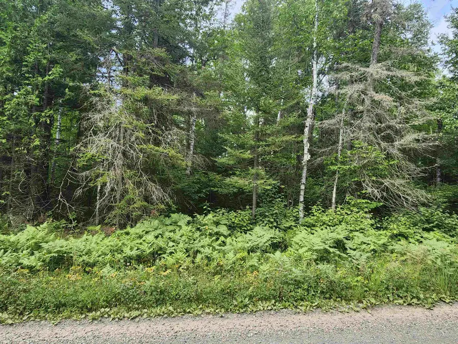 XXX Irish Creek Rd, Hovland, MN 55606 - Image #2