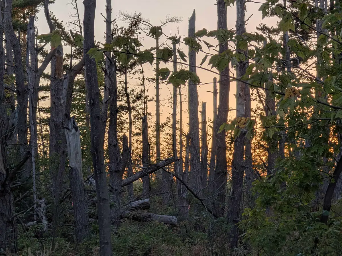 9.58 Acres on Peterson Hill Rd, Bayfield, WI 54814 - Image #1