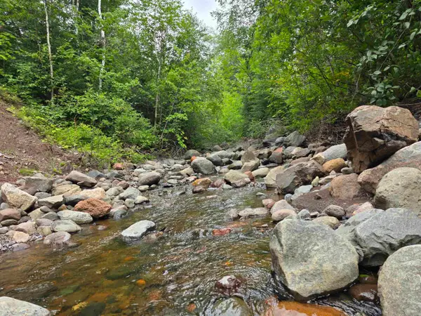 XX Mountain Home Tr, Little Marais, MN 55614