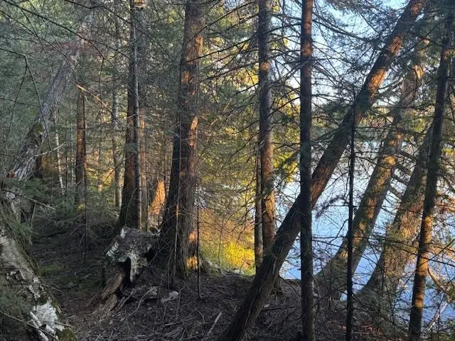 39XX Arrowhead Tr, Hovland, MN 55606 - Image #3