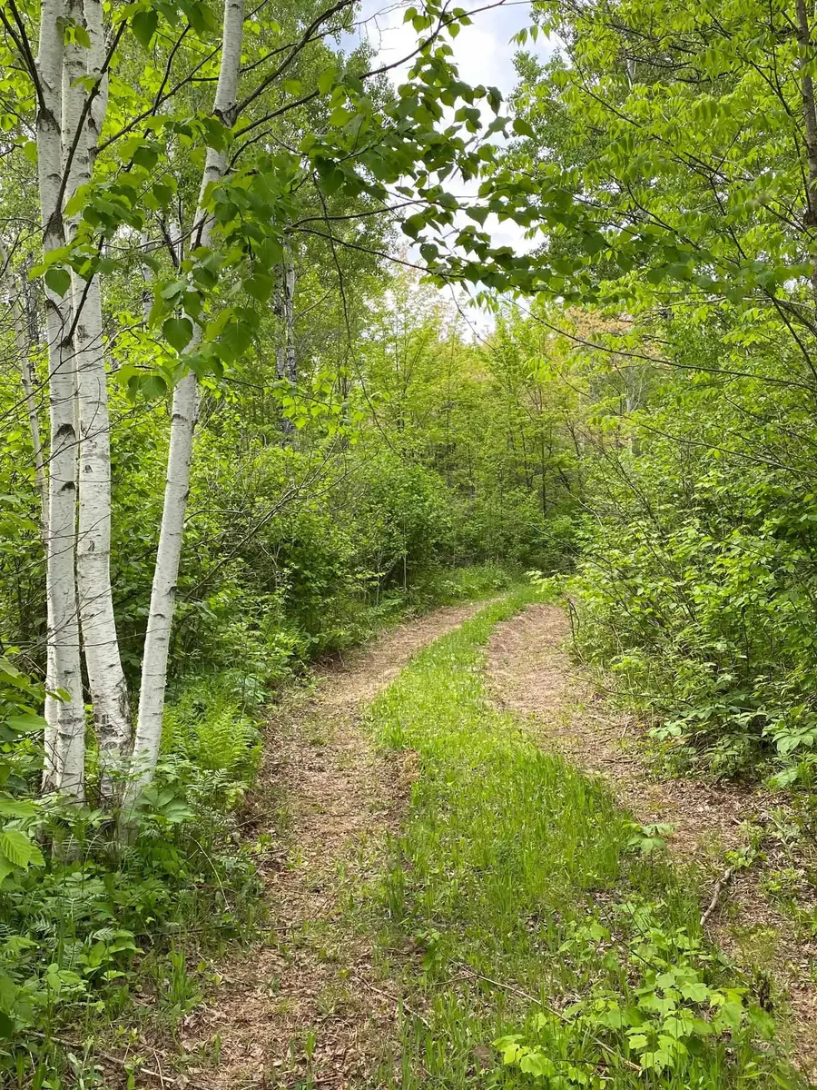 1454 Townline Rd, Brimson, MN 55602 - Image #3