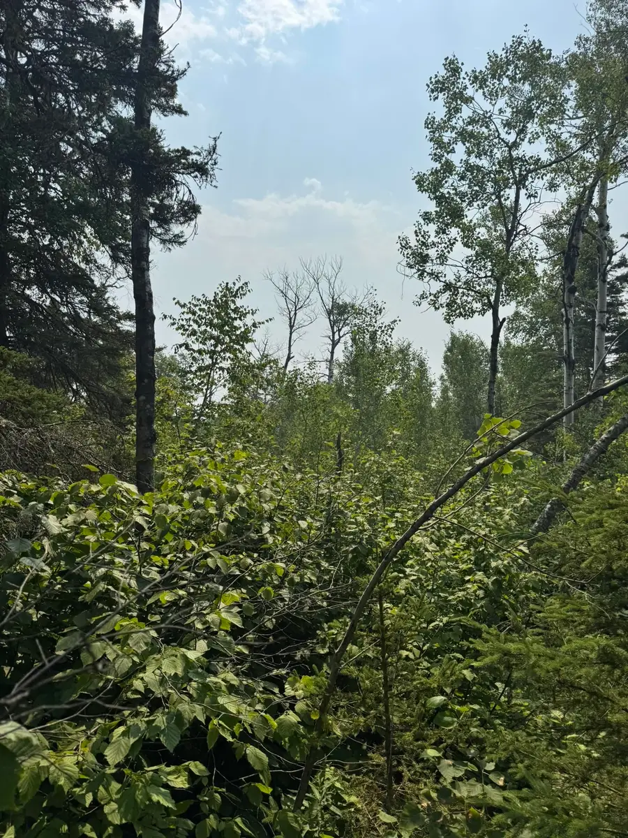 XX High Ridge Dr, Schroeder, MN 55614 - Image #2