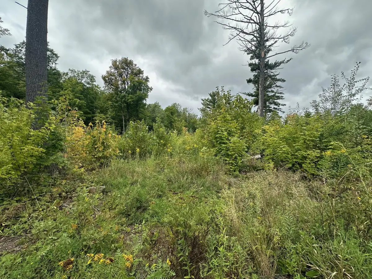 XXX Hwy 45, Cloquet, MN 55720 - Image #1