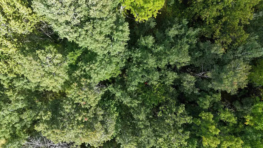 TBD Itasca County, Pomroy, MN 56362 - Image #2