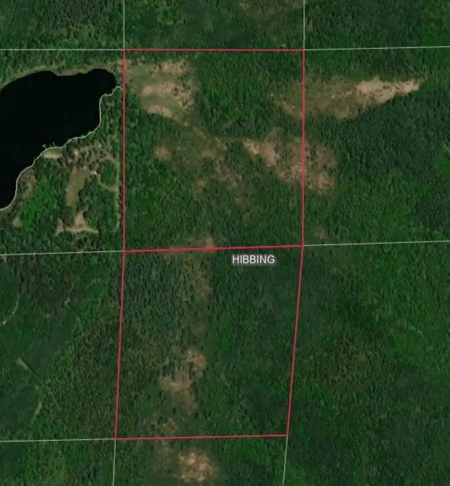 XXX S Town Line Rd, Hibbing, MN 55746 - Image #3