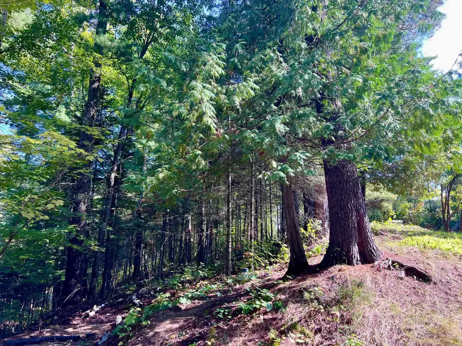 1280 Heather St, Ely, MN 55731 - Image #3